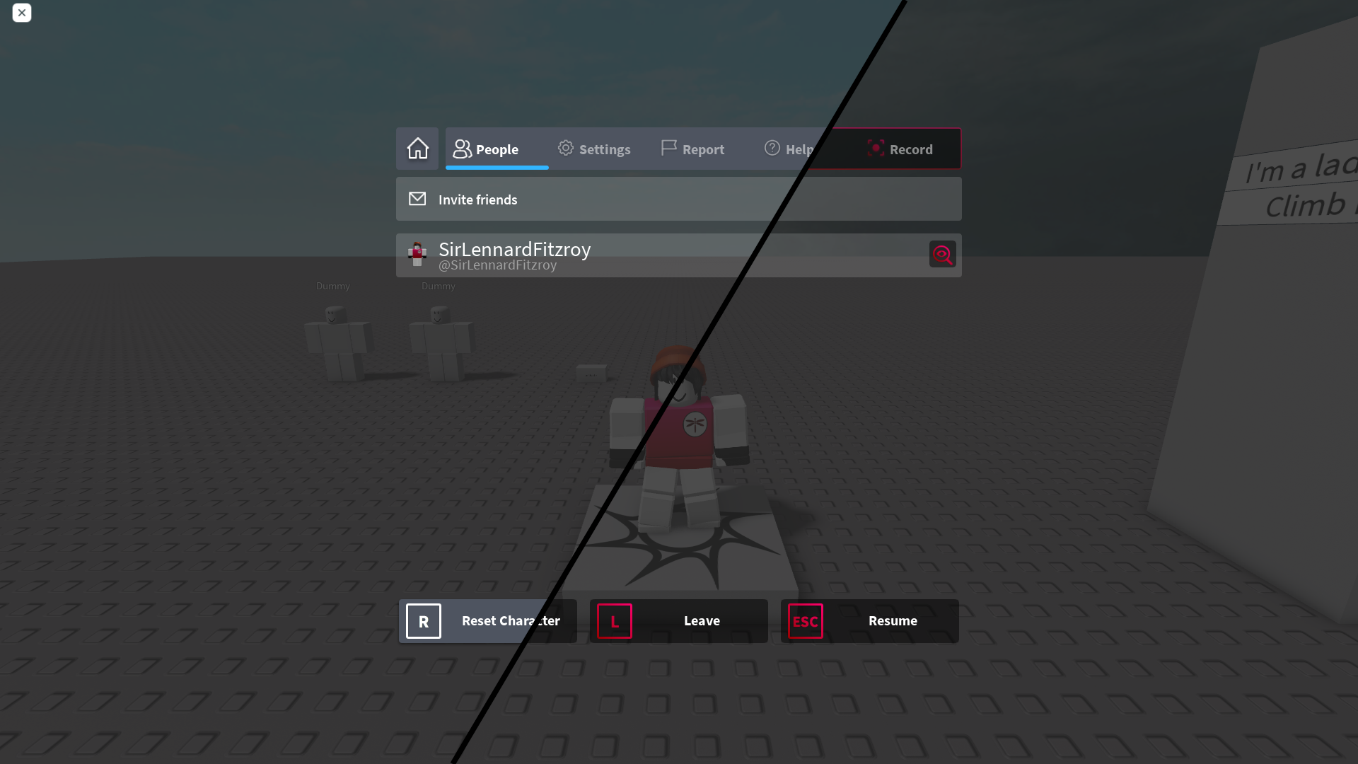 Roblox mod